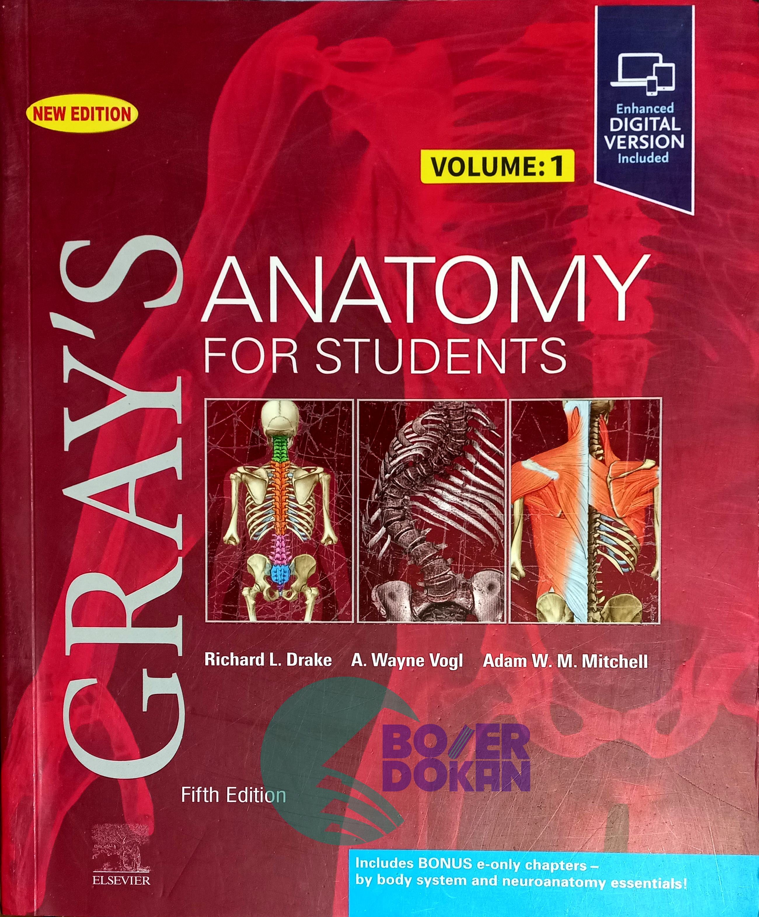 Gray's Anatomy for Students – Volume 1/2 | Richard L. Drake